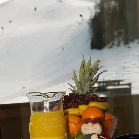 Am Zwoelferkogel Saalbach-Hinterglemm