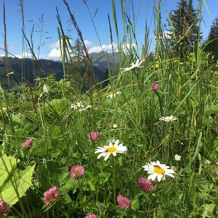 Am Zwoelferkogel Lejlighedshotel Saalbach-Hinterglemm