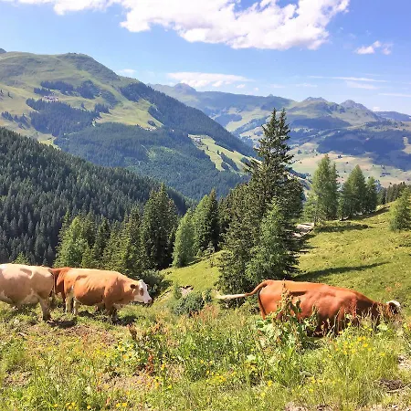 Am Zwoelferkogel